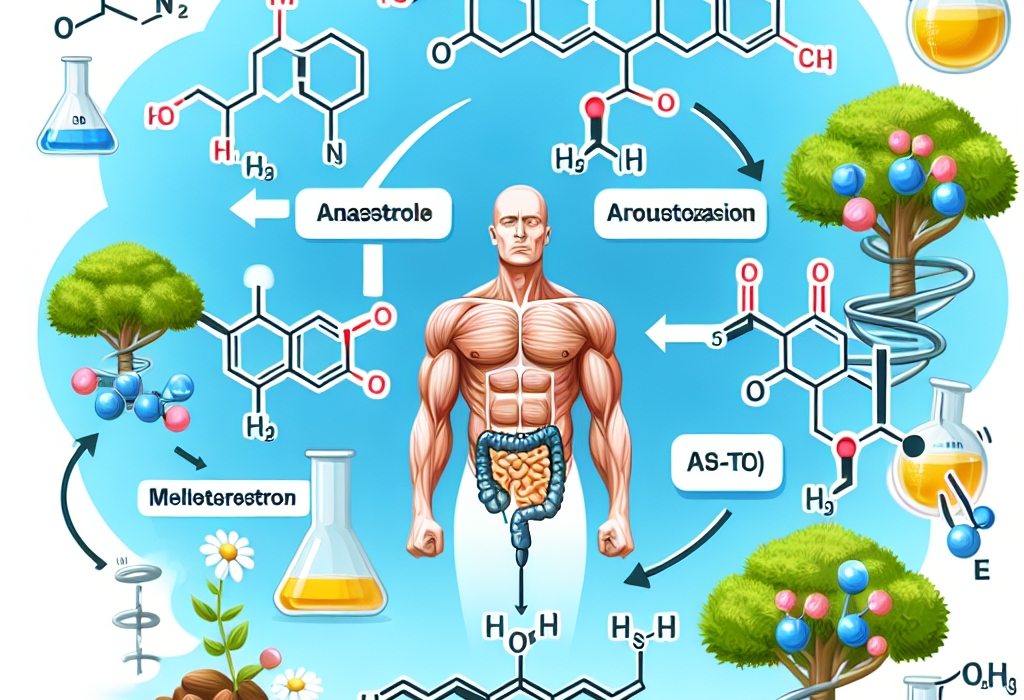Anastrozole et contrôle de l'aromatisation de la méthyltestostérone