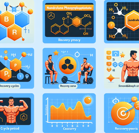 Caractéristiques de l'utilisation du phénylpropionate de nandrolone dans les cycles de récupération