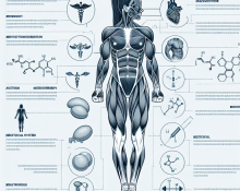 Utilisations spécifiques de la Méthyltestostérone injectable dans le sport féminin