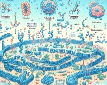 Comment fonctionne le soutien peptidique pendant la phase de PCT